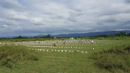 Çarşamba Eğrikum Köyü Resimleri 1