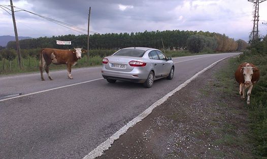 Çarşamba Eğrikum Köyü Resimleri 11