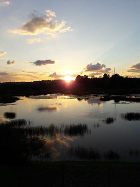 Çarşamba Eğrikum Köyü Resimleri 4