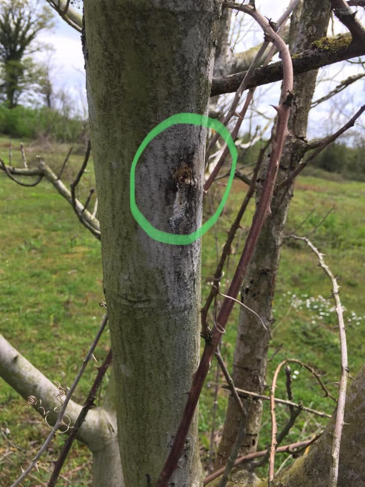 Çarşamba Eğrikum Köyü Resimleri 5