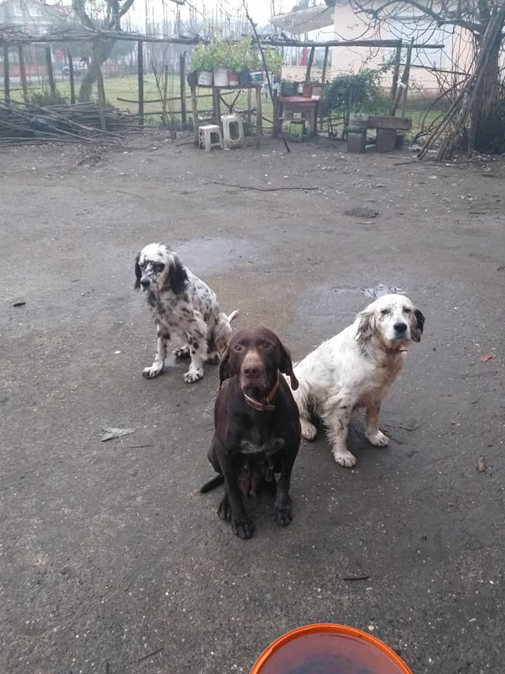 Çarşamba Eğrikum Köyü Resimleri 6