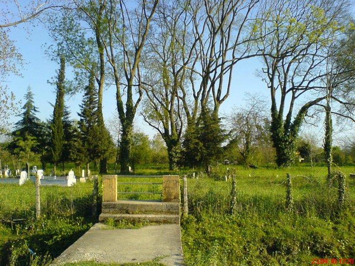 Çarşamba Epçeli Köyü Resimleri 2