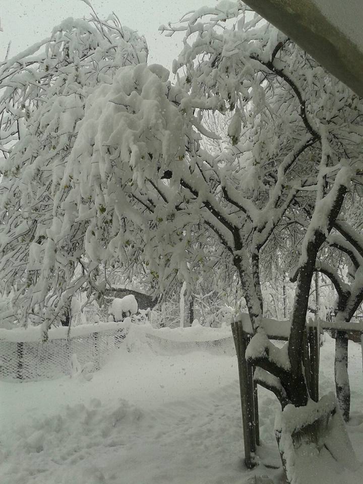 Çarşamba Epçeli Köyü Resimleri 4