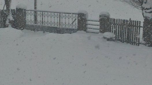 Çarşamba Epçeli Köyü Resimleri 5