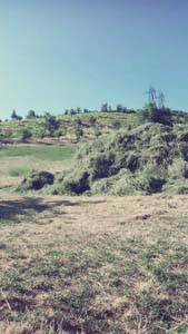 Adana Tufanbeyli Çatalçam Köyü Resimleri 27