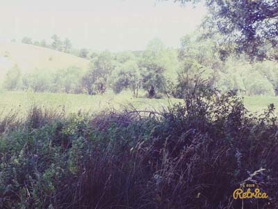 Adana Tufanbeyli Çatalçam Köyü Resimleri 31