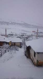 Adana Tufanbeyli Çatalçam Köyü Resimleri 7