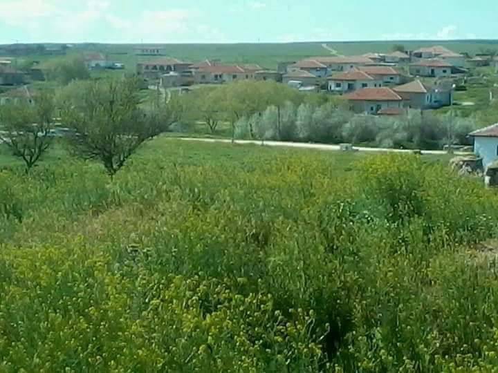 Mucur Bayramuşağı Köyü Resimleri 1