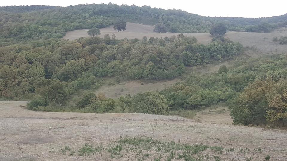 Altınova Soğuksu Köyü Resimleri 9