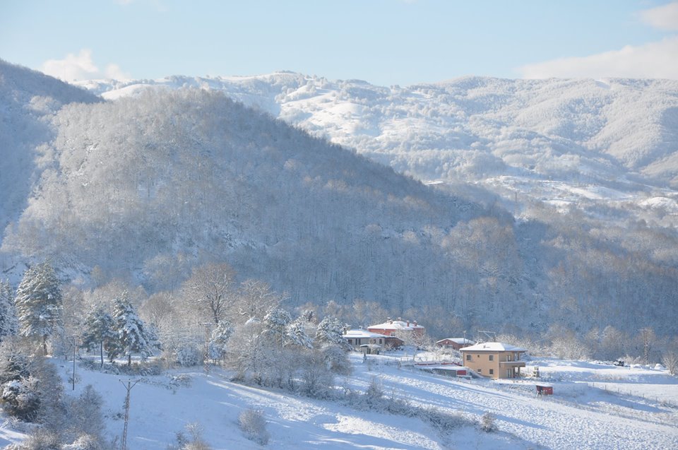 Altınova Tevfikiye Köyü Resimleri 2
