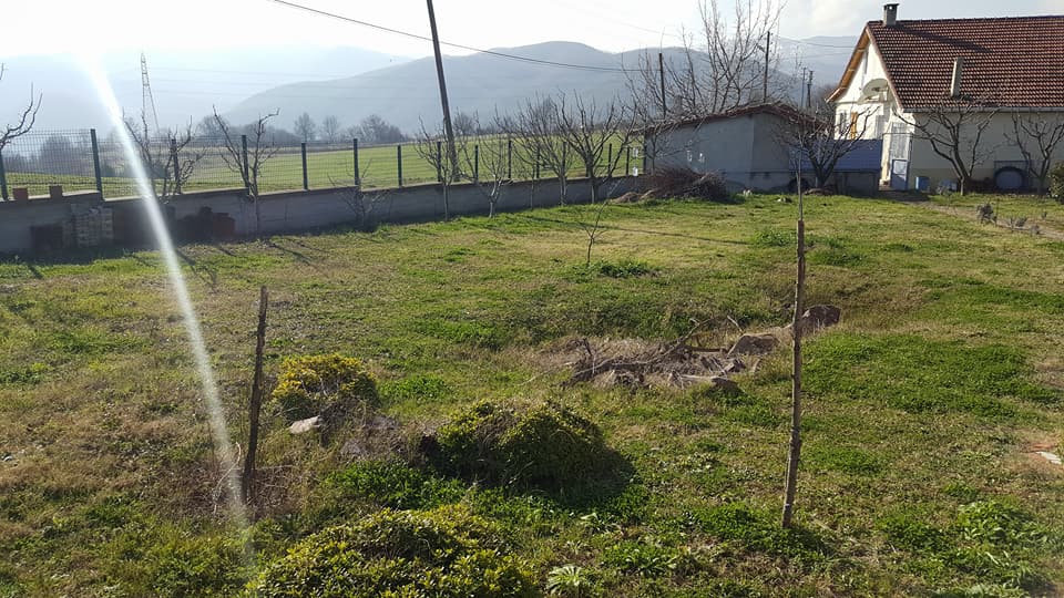 Altınova Tevfikiye Köyü Resimleri 3