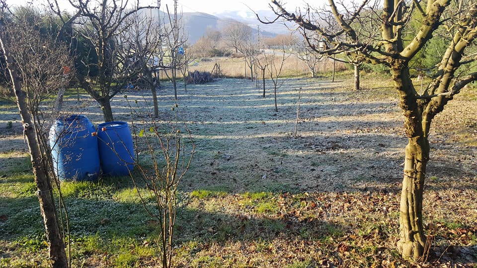 Altınova Tevfikiye Köyü Resimleri 5