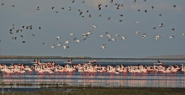 Mucur Seyfe Köyü Resimleri 1