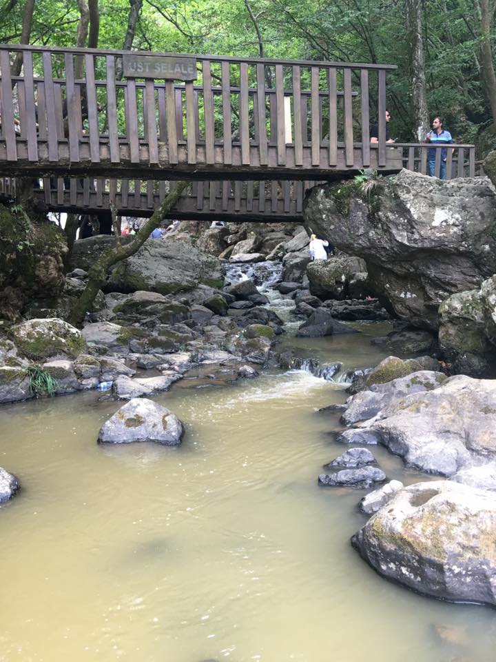 Armutlu Fıstıklı Köyü Resimleri 10