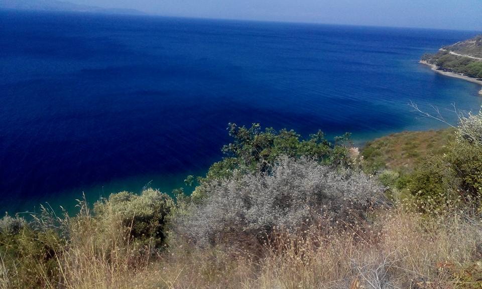 Armutlu Fıstıklı Köyü Resimleri 12