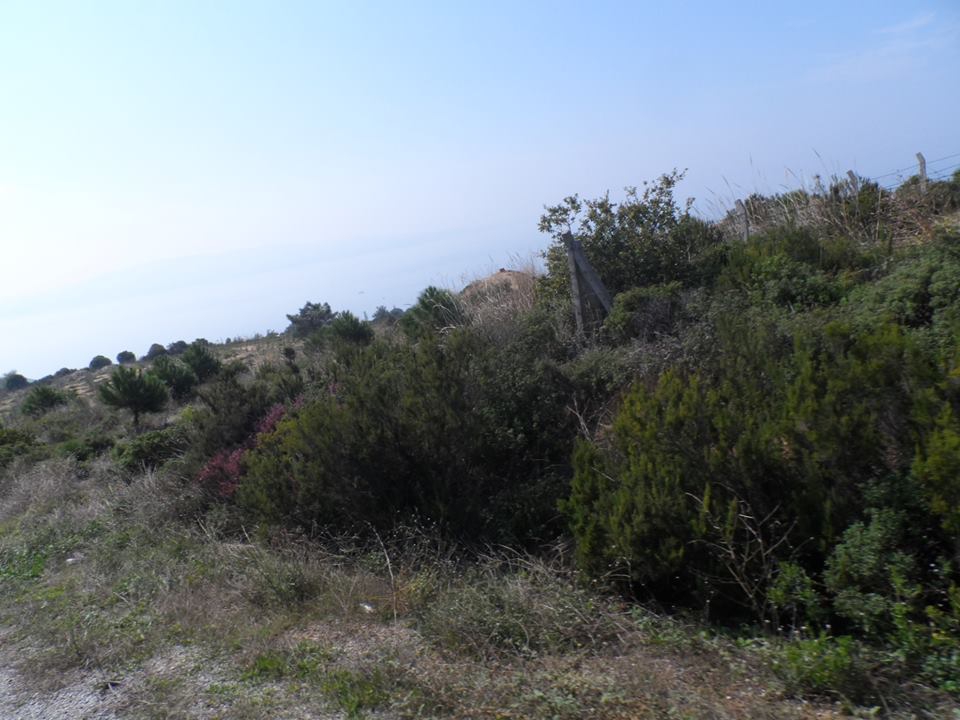 Armutlu Fıstıklı Köyü Resimleri 7