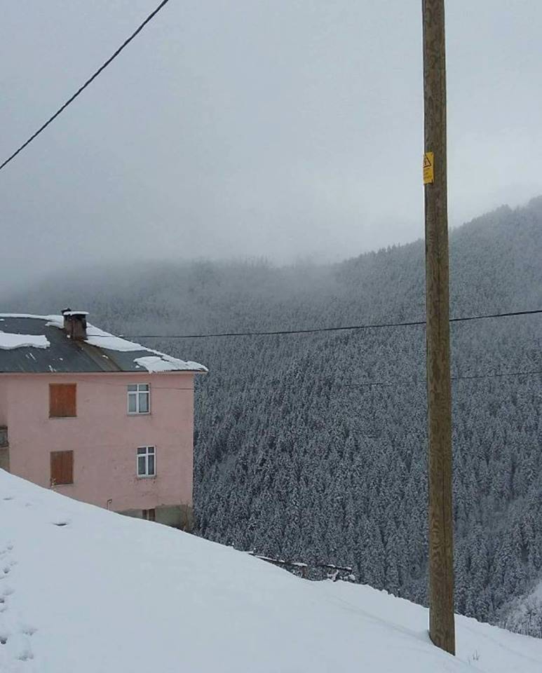 Gümüşhane Akocak Köyü resimleri 3