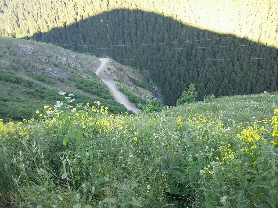 Gümüşhane Akocak Köyü resimleri 5