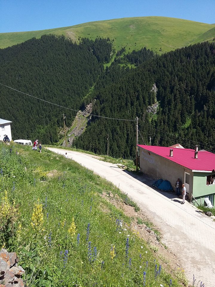 Gümüşhane Akocak Köyü resimleri 6