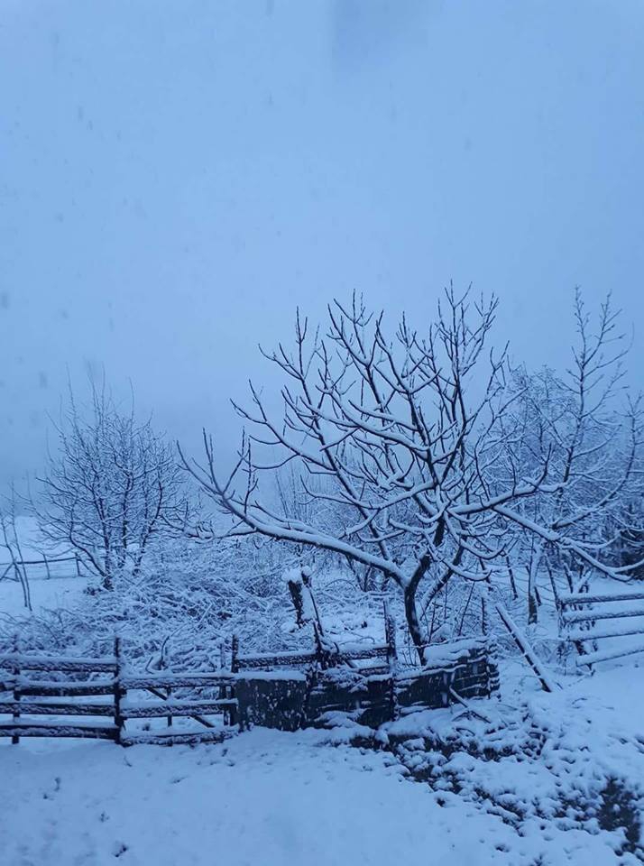 Çarşamba Esençay Köyü Resimleri 4