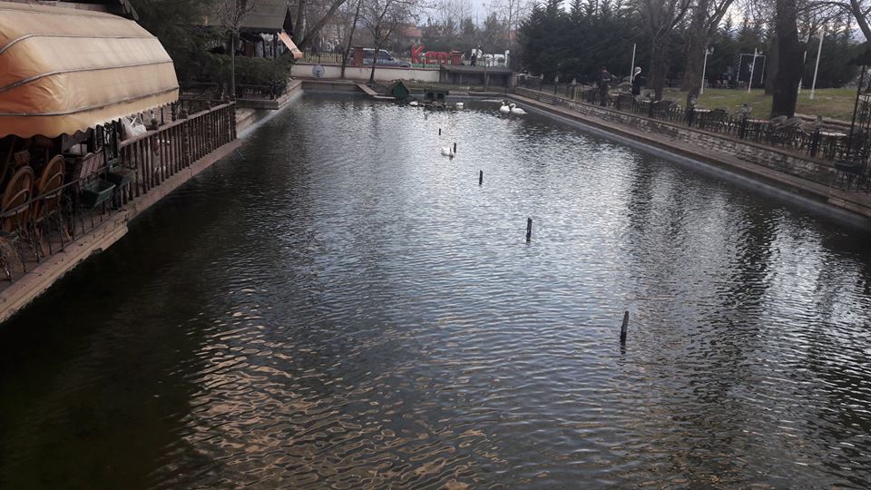 Çarşamba Esentepe Köyü Resimleri 3