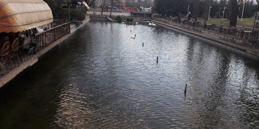 Çarşamba Esentepe Köyü Resimleri