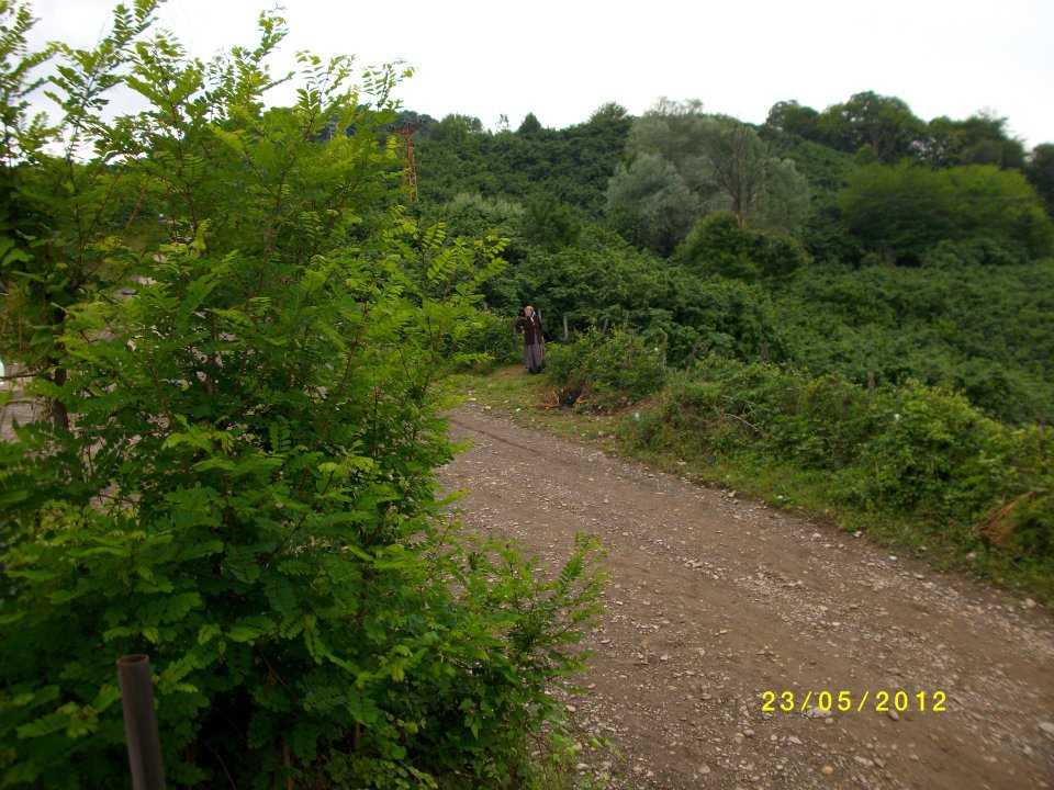 Çarşamba Gökceçakmak Köyü Resimleri 4