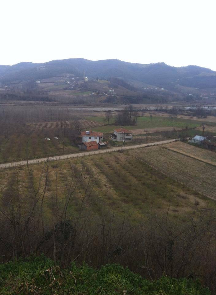 Çarşamba Güldere Köyü Resimleri 2