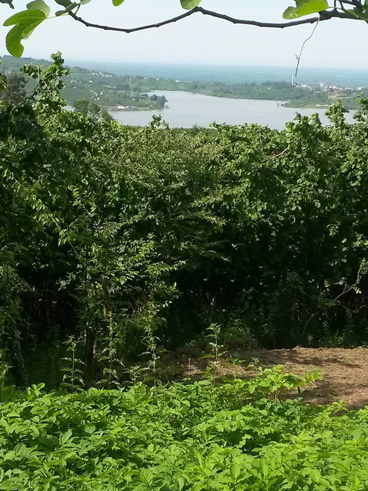 Çarşamba Güldere Köyü Resimleri 4