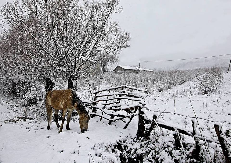 Çarşamba Gülören Köyü Resimleri 1