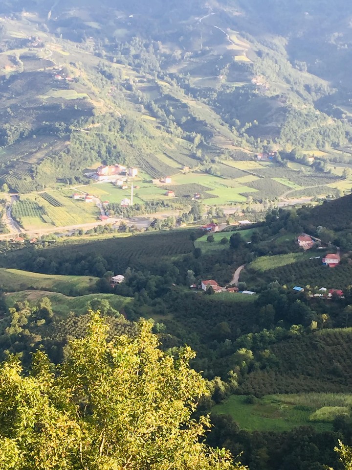 Çarşamba Gülören Köyü Resimleri 11