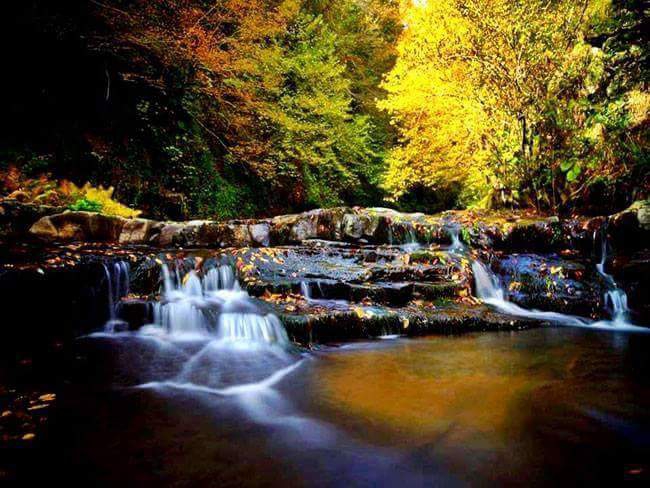 Çarşamba Gülören Köyü Resimleri 12