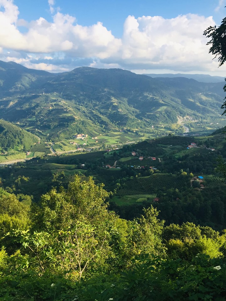 Çarşamba Gülören Köyü Resimleri 6