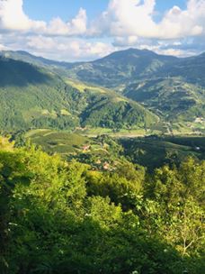 Çarşamba Gülören Köyü Resimleri 7