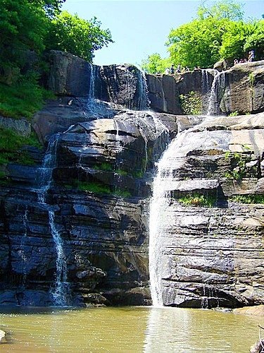 Çarşamba Gülören Köyü Resimleri 9