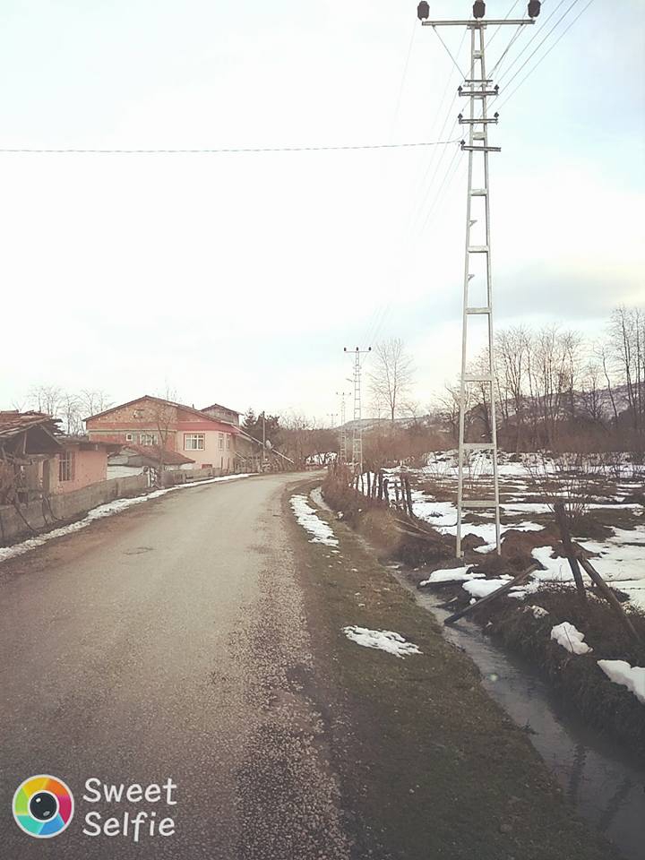 Çarşamba Gülyazı Köyü Resimleri 10