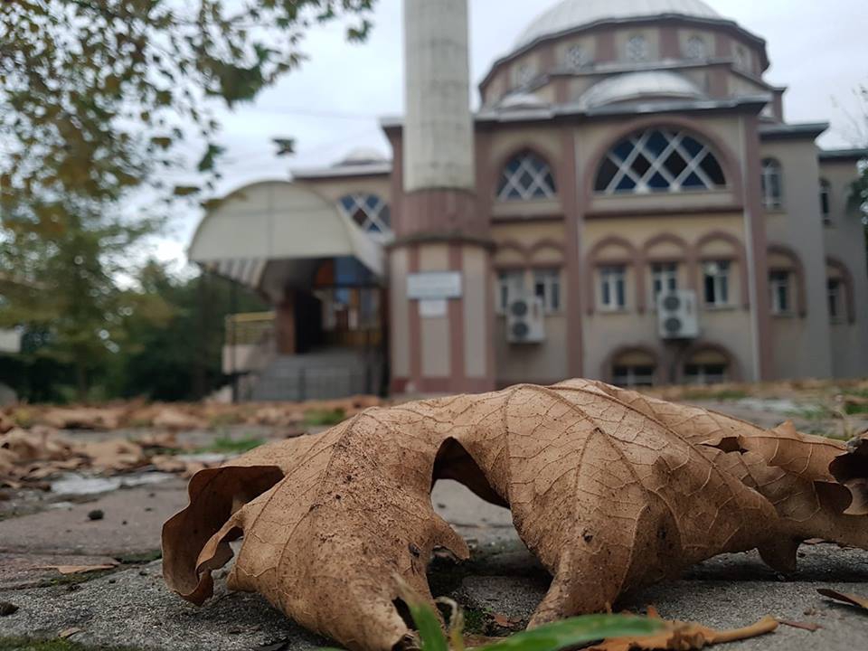 Çarşamba Gülyazı Köyü Resimleri 2