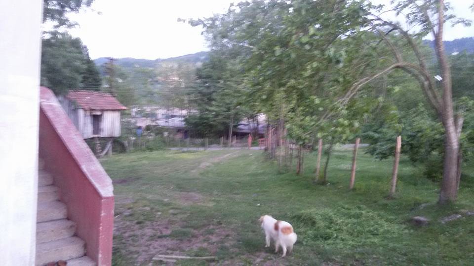 Çarşamba Gülyazı Köyü Resimleri 4