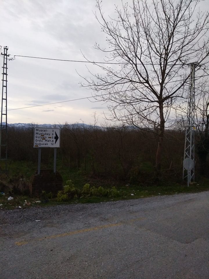 Çarşamba Gülyazı Köyü Resimleri 6