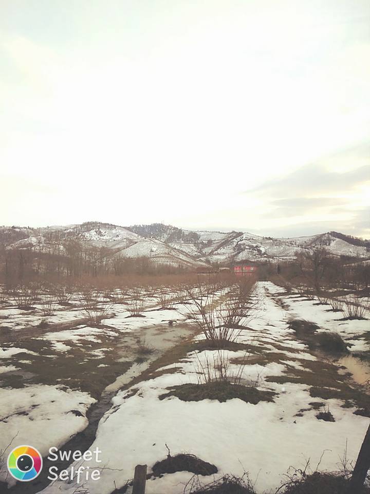 Çarşamba Gülyazı Köyü Resimleri 7