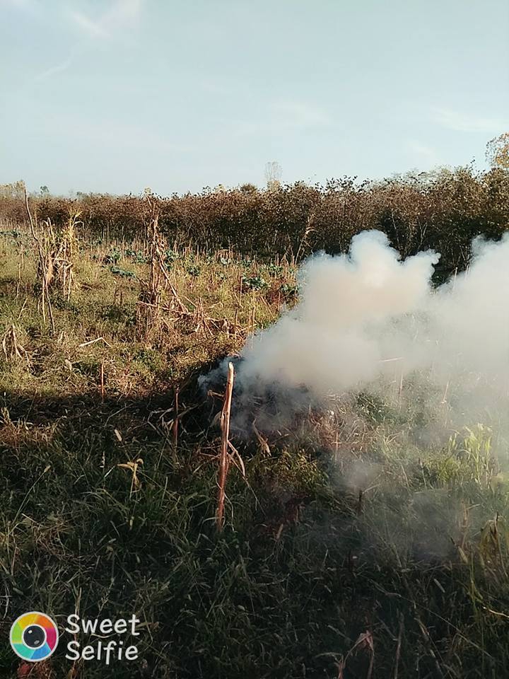 Çarşamba Gülyazı Köyü Resimleri 9