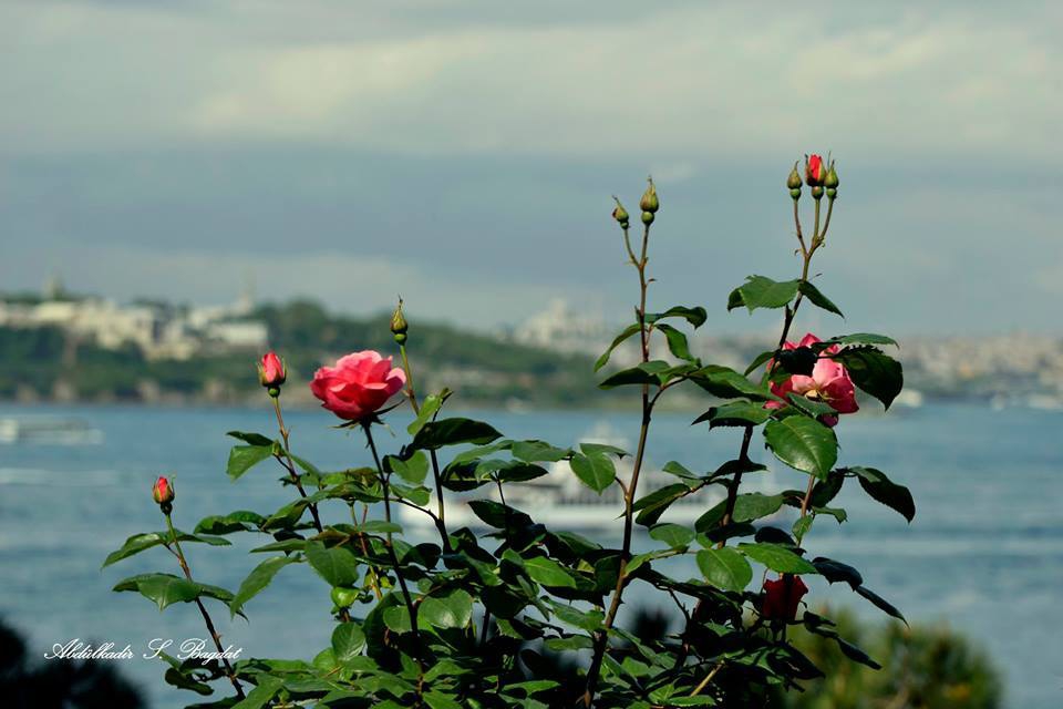Çarşamba Güneşli Köyü Resimleri 1