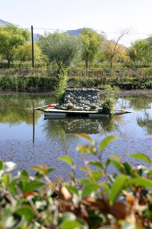Çarşamba Güneşli Köyü Resimleri 10
