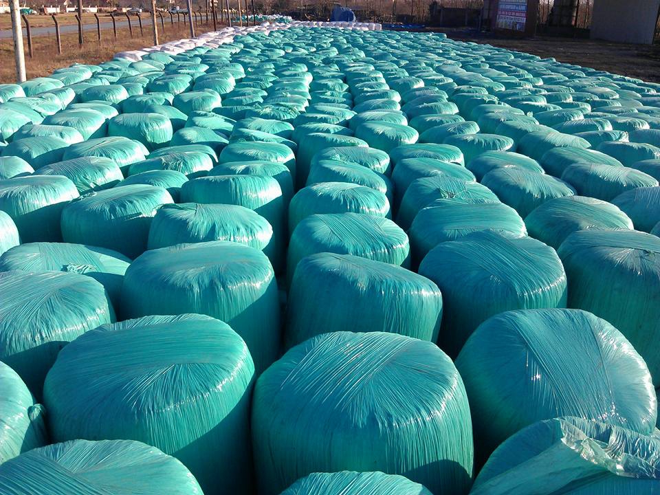 Çarşamba Helvacalı  Köyü Resimleri 7