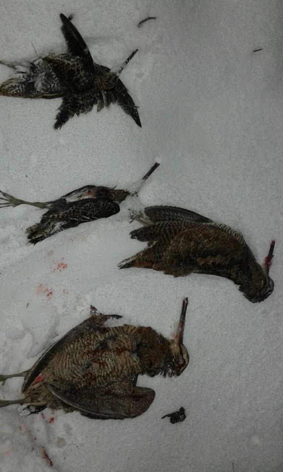 Çarşamba Helvacalı  Köyü Resimleri 9