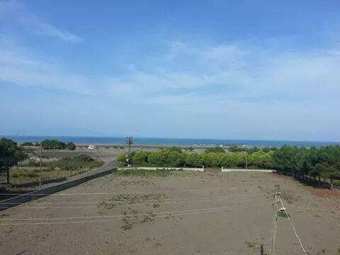 Çarşamba Hürriyet Köyü Resimleri 2