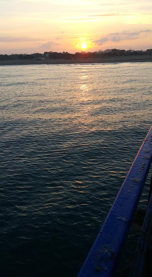 Çarşamba Hürriyet Köyü Resimleri 8