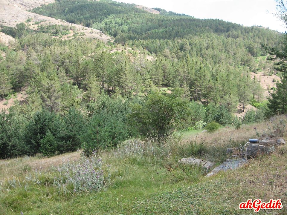 Gümüşhane Akgedik köyü resimleri 5