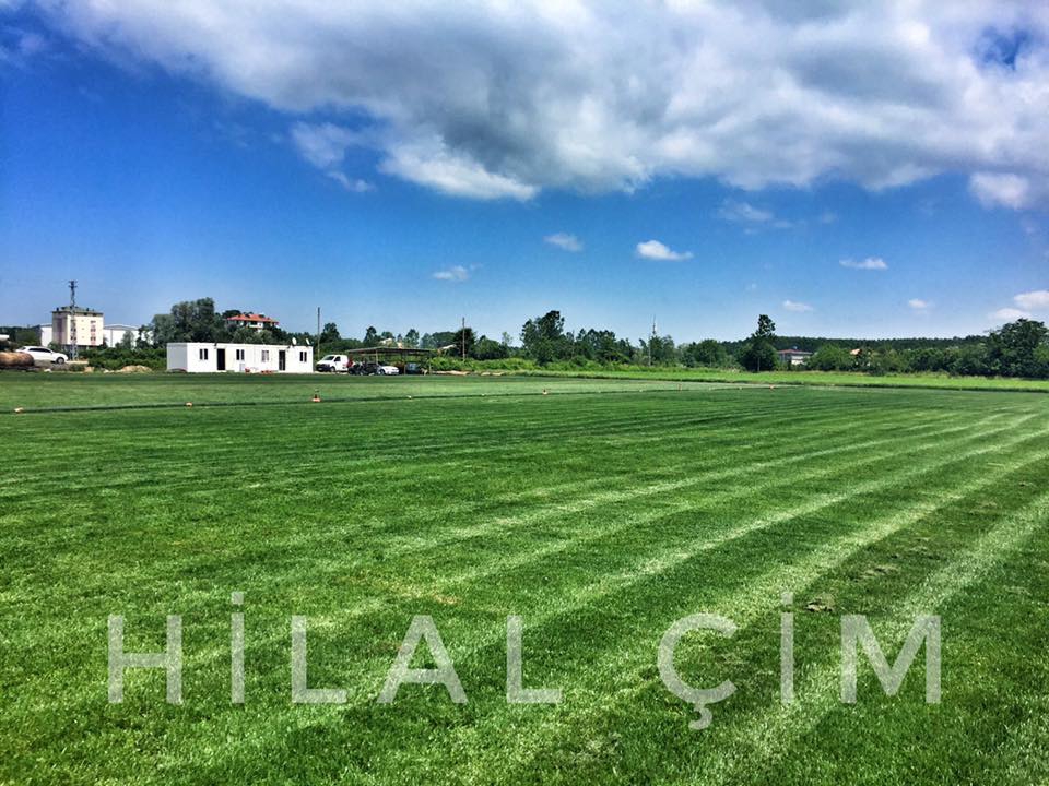 Çarşamba Irmaksırtı  Köyü Resimleri 5