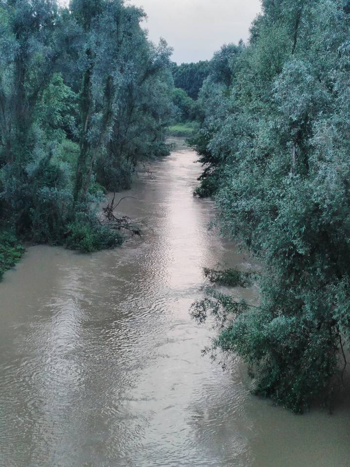 Çarşamba Irmaksırtı  Köyü Resimleri 7